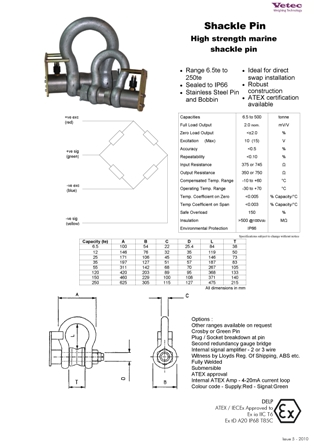 Schackle pin